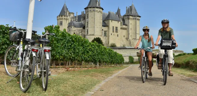 Candes-St-Martin / Saumur