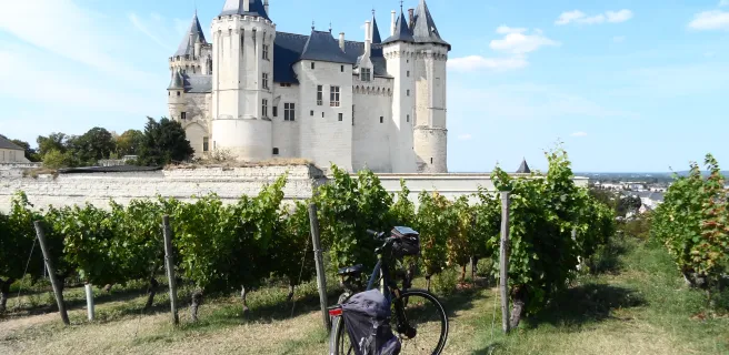 Le château de Saumur