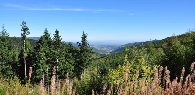 Saint-Félicien / Devesset (alternative starting point