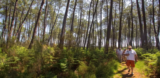 Saint Symphorien / Salles