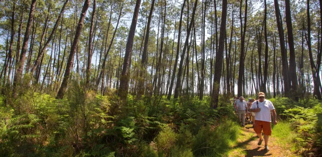 Saint Symphorien / Salles