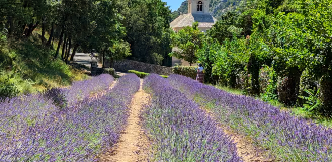Le Luberon