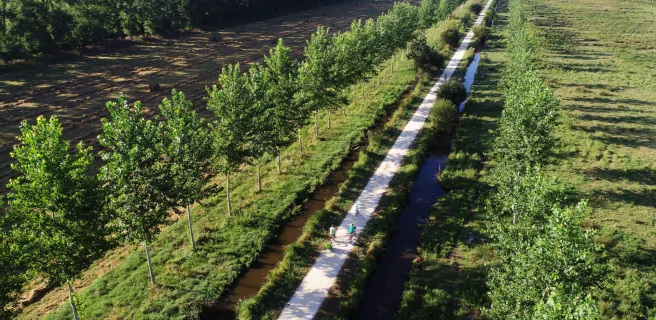 Le marais Poitevin à vélo