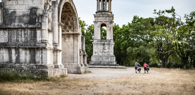 Beaucaire - Tarascon / Cavaillon