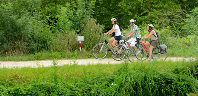 Coulon / Damvix / Bazoin