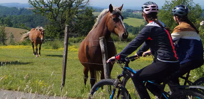 Sur la route du Monorail à vélo - Boucle vélo F5
