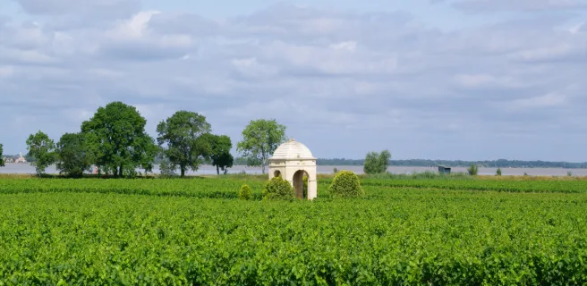 Montalivet-les-Bains / Hourtin-Plage