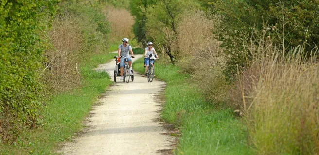 Damvix / Bazoin / Marans