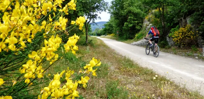 Mazamet / Saint-Pons-de-Thomières