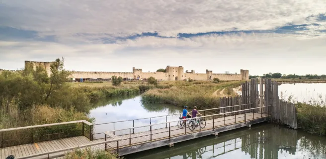 Le Grau-du-Roi / Beaucaire -Tarascon