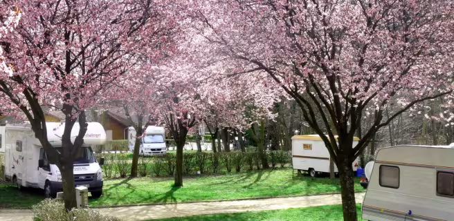 Camping l'Astrée