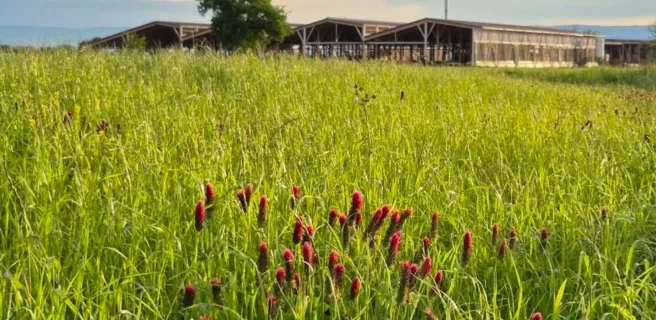 Ferme des Délices Foréziens