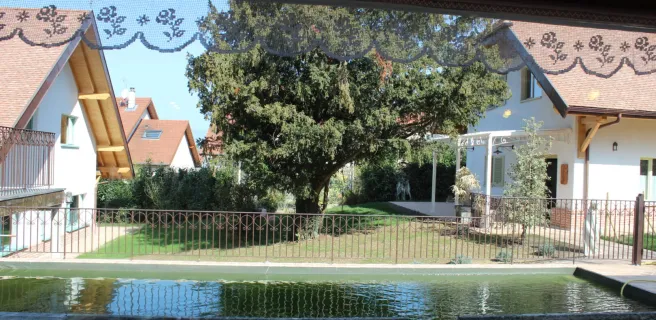 Clos des Burgondes: Sedeleube