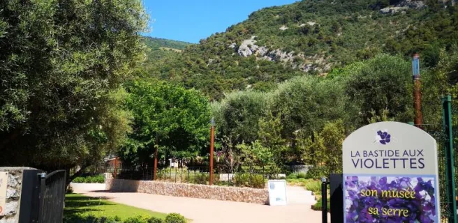 Bastide aux Violettes