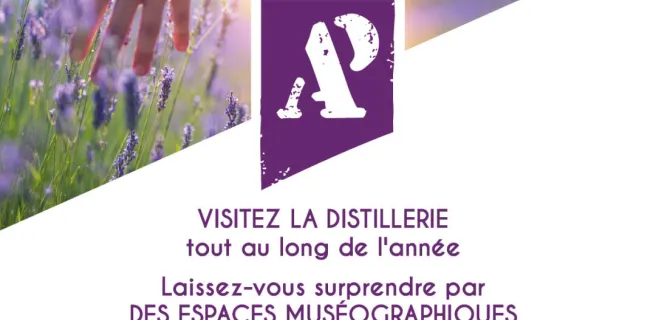 Publicité