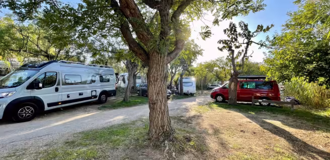 International campsite
