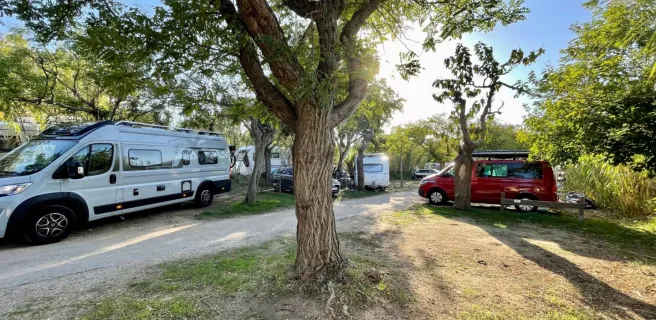 International campsite