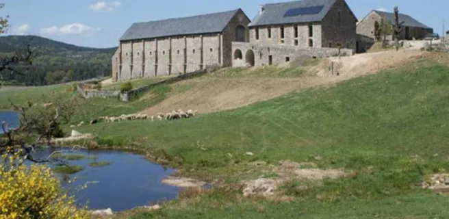 Le Sauvage en Gévaudan | Gîte "Narcisse"