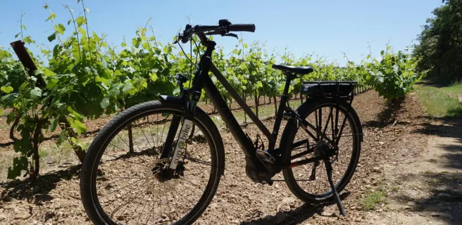 Sun-E-Bike - Location, vente, réparation de vélos