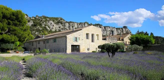 Entre Vigne et Garrigue