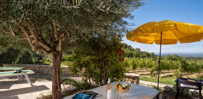 Le Mas de Lencieu - L'Olivier