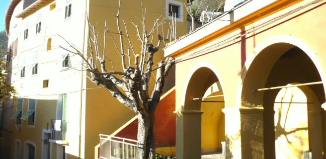 Façade