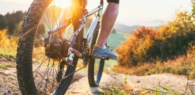 Electric bike and mountainbike rental - Face Sud