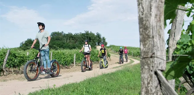 Bike Service