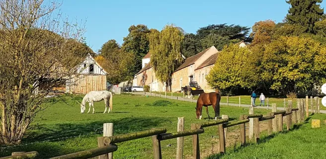 Chambre d'hôtes BOISEMONT "La Ferme Rose" N°30043