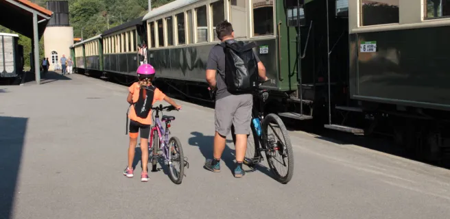 Gare Tournon St Jean