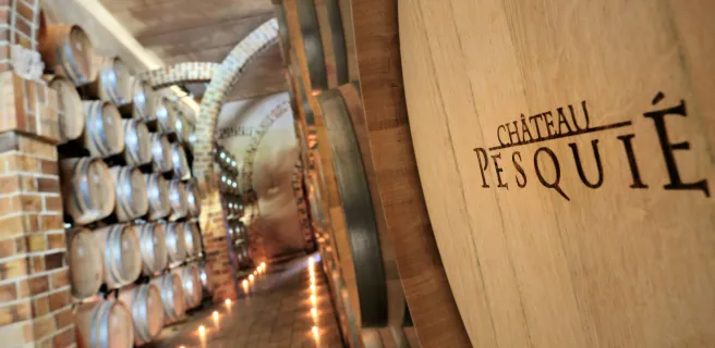 Guided visit of the cellars and tasting at Château Pesquié