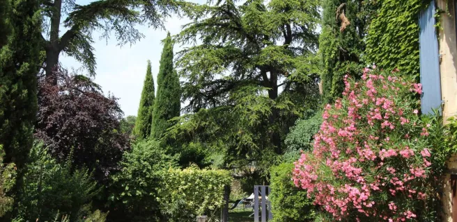 L'Arbousier - Gîtes Provence et Nature