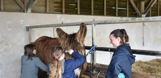 1 hour to look after the donkeys