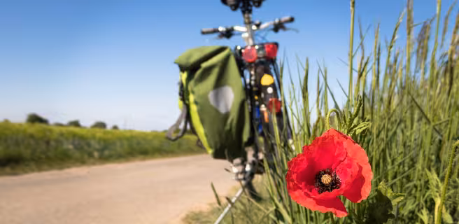 VDS Mobilité - Location de Vélos