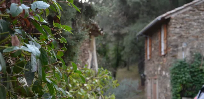 House Ananda - 30 m² - 4 pers