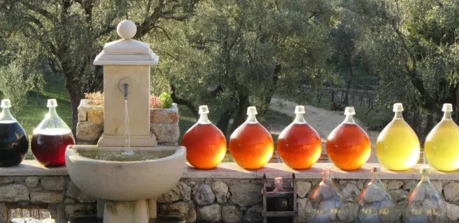 L'accueil à la fontaine rafraichissante 