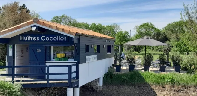 Huîtres Cocollos