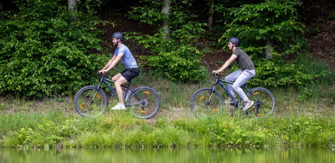 VTT