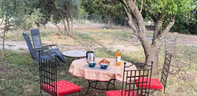 salon jardin
