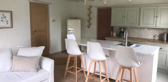 Ambiance Seine - Hortensias