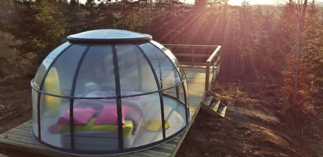 Dôme Etoile Vue imprenable sur la forêt et les montagnes