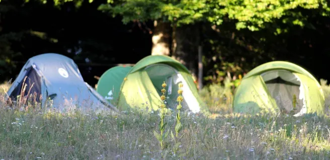 Burzet - Bivouac du Pré du bois 1 ©o.mathis