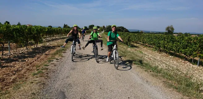 VELOEnologie in Côtes du Rhône at Saint-Montan