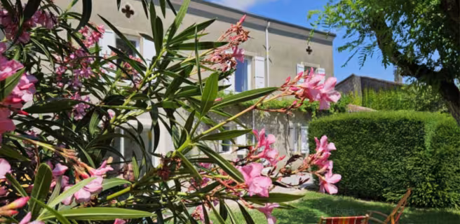 La surprise des Jumelles