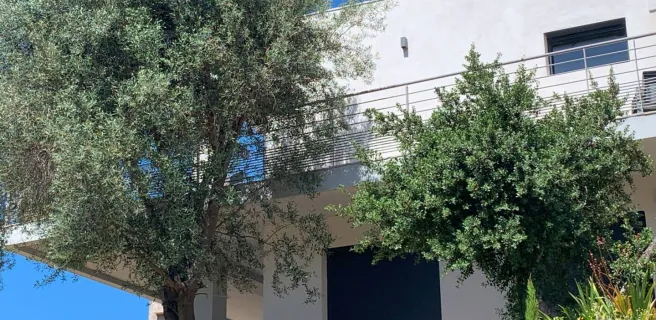 La Maison Rose - Villa T3