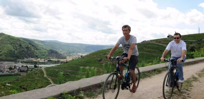 Vélo électrique dansles vignes
