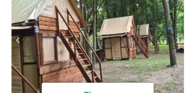 L'esprit cabane du Lion