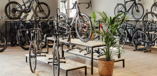 Vaison Bike (Groups & Seminars)