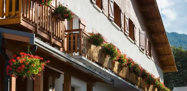 Les peupliers Serre-Ponçon