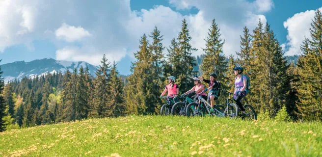 Alpes Aventures : Bike shop, workshop and rental